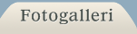 Fotogalleri